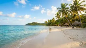 Spiaggia tropicale con palme e mare turchese, sabbia chiara e ombrelloni in paglia in una baia tranquilla